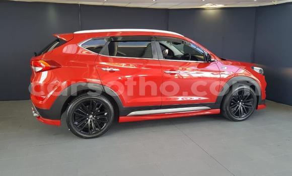 Acheter Occasion Voiture Hyundai Tucson Rouge à Maseru, Maseru Acheter Occasion Voiture Hyundai Tucson Rouge à Maseru, Maseru