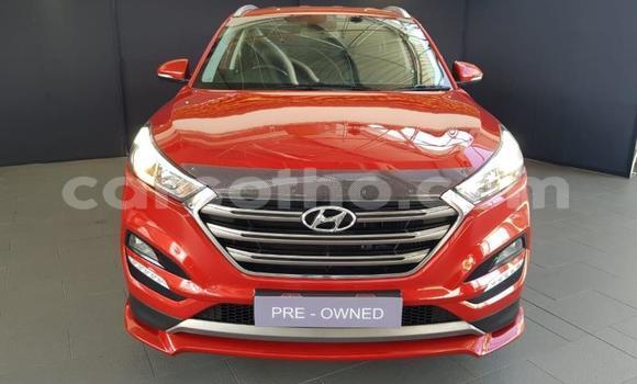 Acheter Occasion Voiture Hyundai Tucson Rouge à Maseru, Maseru Acheter Occasion Voiture Hyundai Tucson Rouge à Maseru, Maseru
