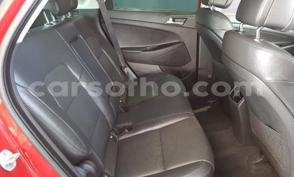 Acheter Occasion Voiture Hyundai Tucson Rouge à Maseru, Maseru Acheter Occasion Voiture Hyundai Tucson Rouge à Maseru, Maseru