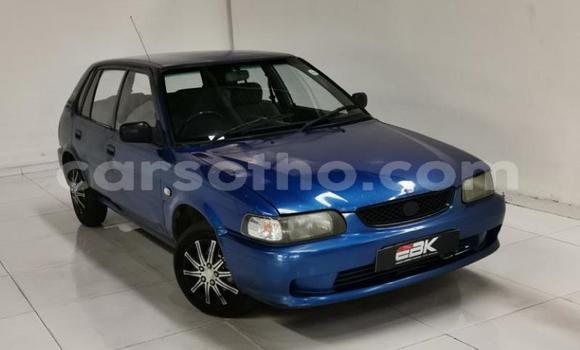 اشتري مستعمل Toyota Tacoma Blue سيارة في Maseru في Maseru اشتري مستعمل Toyota Tacoma Blue سيارة في Maseru في Maseru