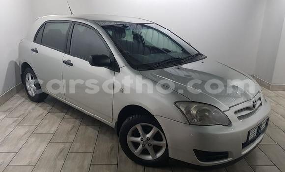 Acheter Occasion Voiture Toyota Runx Gris à Maputsoa, Leribe Acheter Occasion Voiture Toyota Runx Gris à Maputsoa, Leribe