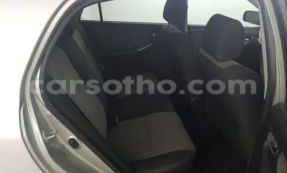 Acheter Occasion Voiture Toyota Runx Gris à Maputsoa, Leribe Acheter Occasion Voiture Toyota Runx Gris à Maputsoa, Leribe