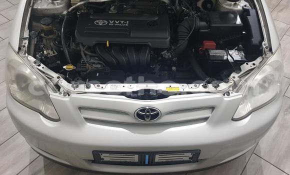 Acheter Occasion Voiture Toyota Runx Gris à Maputsoa, Leribe Acheter Occasion Voiture Toyota Runx Gris à Maputsoa, Leribe