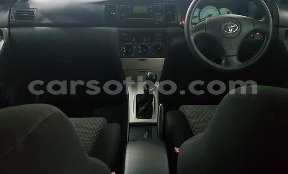 Acheter Occasion Voiture Toyota Runx Gris à Maputsoa, Leribe Acheter Occasion Voiture Toyota Runx Gris à Maputsoa, Leribe