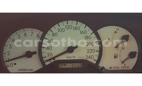 Acheter Occasion Voiture Toyota Runx Gris à Maputsoa, Leribe Acheter Occasion Voiture Toyota Runx Gris à Maputsoa, Leribe