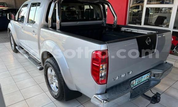 Acheter Occasion Voiture Nissan Navara Gris à Maseru, Maseru Acheter Occasion Voiture Nissan Navara Gris à Maseru, Maseru