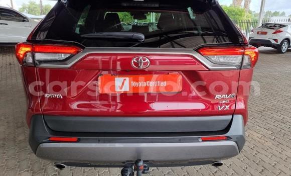 اشتري مستعمل Toyota RAV4 Other سيارة في Maseru في Maseru اشتري مستعمل Toyota RAV4 Other سيارة في Maseru في Maseru