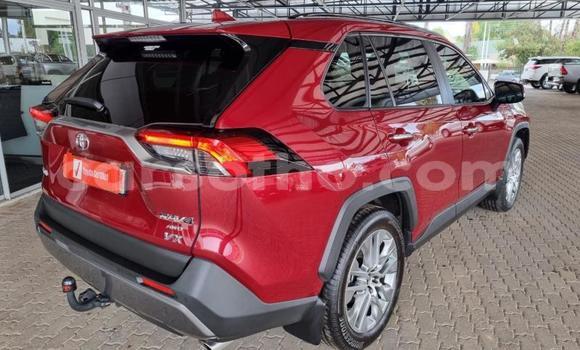 اشتري مستعمل Toyota RAV4 Other سيارة في Maseru في Maseru اشتري مستعمل Toyota RAV4 Other سيارة في Maseru في Maseru