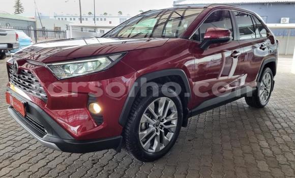 اشتري مستعمل Toyota RAV4 Other سيارة في Maseru في Maseru اشتري مستعمل Toyota RAV4 Other سيارة في Maseru في Maseru