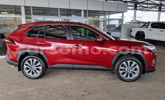 اشتري مستعمل Toyota RAV4 Other سيارة في Maseru في Maseru اشتري مستعمل Toyota RAV4 Other سيارة في Maseru في Maseru
