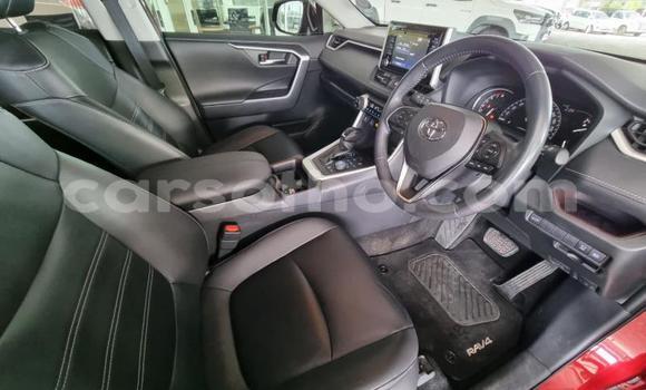 اشتري مستعمل Toyota RAV4 Other سيارة في Maseru في Maseru اشتري مستعمل Toyota RAV4 Other سيارة في Maseru في Maseru