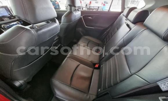 اشتري مستعمل Toyota RAV4 Other سيارة في Maseru في Maseru اشتري مستعمل Toyota RAV4 Other سيارة في Maseru في Maseru