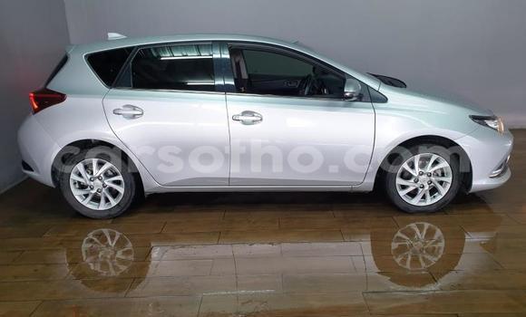 Sayi Na hannu Toyota Auris Silver Mota in Maseru a Maseru Sayi Na hannu Toyota Auris Silver Mota in Maseru a Maseru