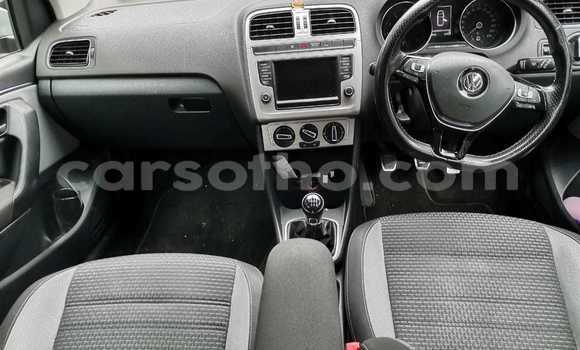 اشتري مستعمل Volkswagen Polo Red سيارة في Maseru في Maseru اشتري مستعمل Volkswagen Polo Red سيارة في Maseru في Maseru