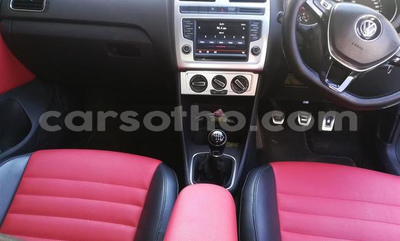 اشتري مستعمل Volkswagen Polo Red سيارة في Maseru في Maseru اشتري مستعمل Volkswagen Polo Red سيارة في Maseru في Maseru