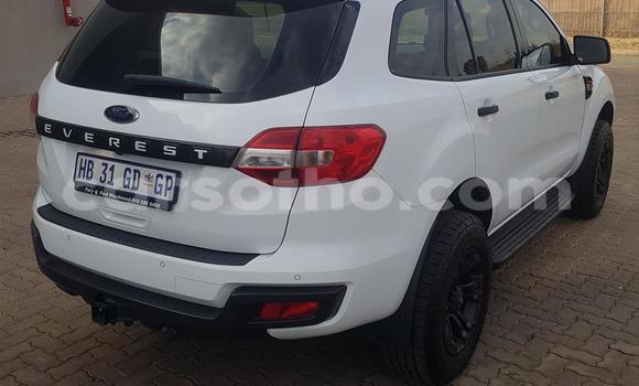 اشتري مستعمل Ford Everest White سيارة في Maputsoe في Leribe اشتري مستعمل Ford Everest White سيارة في Maputsoe في Leribe