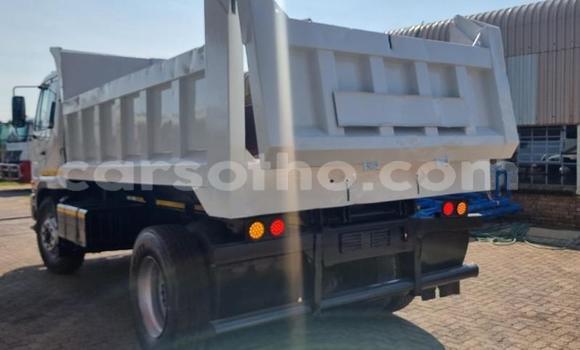 اشتري مستعمل Nissan UD Other شاحنة في Maseru في Maseru اشتري مستعمل Nissan UD Other شاحنة في Maseru في Maseru