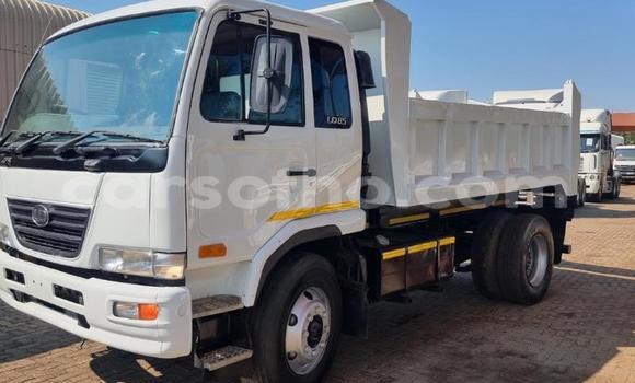 اشتري مستعمل Nissan UD Other شاحنة في Maseru في Maseru اشتري مستعمل Nissan UD Other شاحنة في Maseru في Maseru