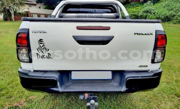 Buy Used Toyota Hilux White Car in Maseru in Maseru Buy Used Toyota Hilux White Car in Maseru in Maseru