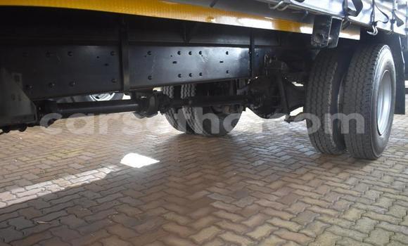 اشتري مستعمل Nissan UD Other شاحنة في Maseru في Maseru اشتري مستعمل Nissan UD Other شاحنة في Maseru في Maseru