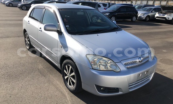 اشتري مستعمل Toyota Runx Silver سيارة في Maseru في Maseru اشتري مستعمل Toyota Runx Silver سيارة في Maseru في Maseru