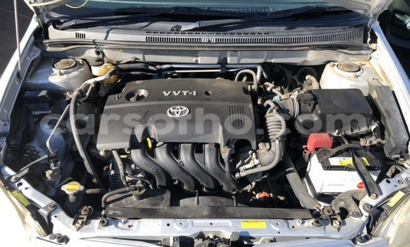 اشتري مستعمل Toyota Runx Silver سيارة في Maseru في Maseru اشتري مستعمل Toyota Runx Silver سيارة في Maseru في Maseru