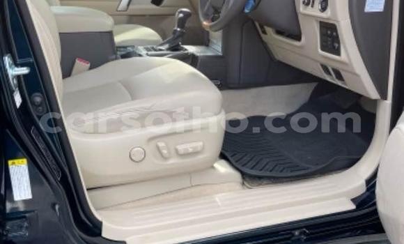 اشتري مستعمل Toyota Land Cruiser Prado Black سيارة في Butha–Buthe في Thaba-Tseka اشتري مستعمل Toyota Land Cruiser Prado Black سيارة في Butha–Buthe في Thaba-Tseka