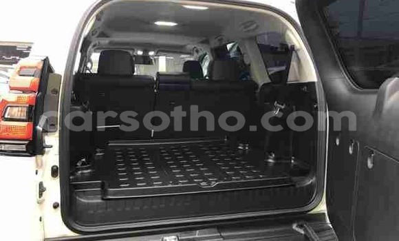 اشتري مستعمل Toyota Land Cruiser Prado White سيارة في Butha–Buthe في Thaba-Tseka اشتري مستعمل Toyota Land Cruiser Prado White سيارة في Butha–Buthe في Thaba-Tseka