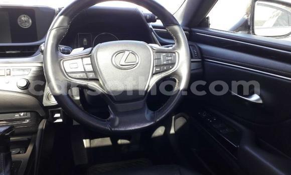 Sayi Na hannu Lexus ES White Mota in Maseru a Maseru Sayi Na hannu Lexus ES White Mota in Maseru a Maseru