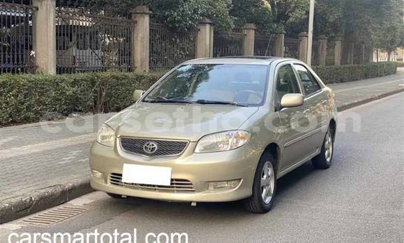 Buy Used Toyota Vios Silver Car in Butha Buthe in Butha-Buthe Buy Used Toyota Vios Silver Car in Butha Buthe in Butha-Buthe