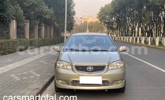 Buy Used Toyota Vios Silver Car in Butha Buthe in Butha-Buthe Buy Used Toyota Vios Silver Car in Butha Buthe in Butha-Buthe
