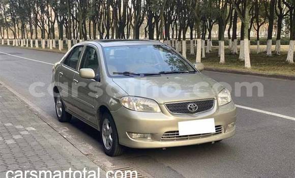 Buy Used Toyota Vios Silver Car in Butha Buthe in Butha-Buthe Buy Used Toyota Vios Silver Car in Butha Buthe in Butha-Buthe