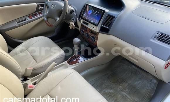 Buy Used Toyota Vios Silver Car in Butha Buthe in Butha-Buthe Buy Used Toyota Vios Silver Car in Butha Buthe in Butha-Buthe