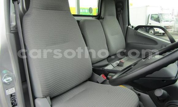 اشتري مستعمل Toyota Dyna Other شاحنة في Maseru في Maseru اشتري مستعمل Toyota Dyna Other شاحنة في Maseru في Maseru