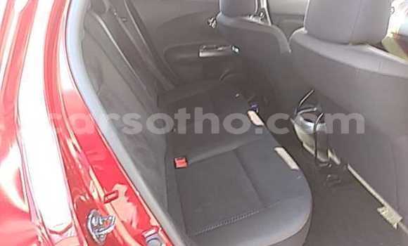 اشتري مستعمل Nissan Juke Red سيارة في Maseru في Maseru اشتري مستعمل Nissan Juke Red سيارة في Maseru في Maseru