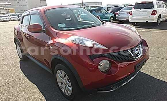 اشتري مستعمل Nissan Juke Red سيارة في Maseru في Maseru اشتري مستعمل Nissan Juke Red سيارة في Maseru في Maseru