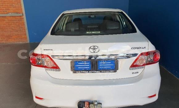 اشتري مستعمل Toyota Corolla Spacio White سيارة في Maseru في Maseru اشتري مستعمل Toyota Corolla Spacio White سيارة في Maseru في Maseru