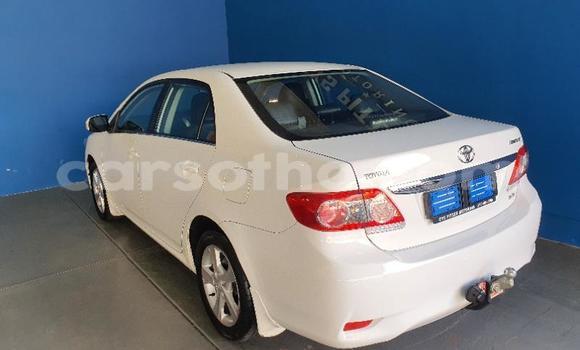 اشتري مستعمل Toyota Corolla Spacio White سيارة في Maseru في Maseru اشتري مستعمل Toyota Corolla Spacio White سيارة في Maseru في Maseru