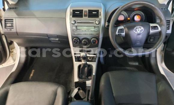 اشتري مستعمل Toyota Corolla Spacio White سيارة في Maseru في Maseru اشتري مستعمل Toyota Corolla Spacio White سيارة في Maseru في Maseru