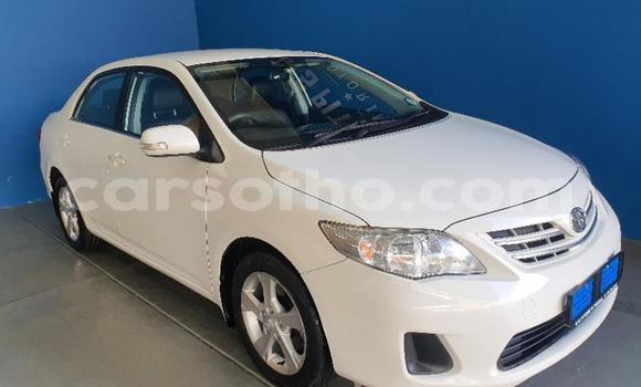 اشتري مستعمل Toyota Corolla Spacio White سيارة في Maseru في Maseru اشتري مستعمل Toyota Corolla Spacio White سيارة في Maseru في Maseru