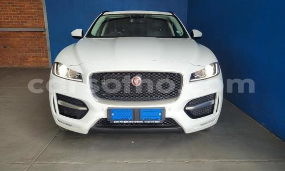 اشتري مستعمل Jaguar F-Pace White سيارة في Maseru في Maseru اشتري مستعمل Jaguar F-Pace White سيارة في Maseru في Maseru