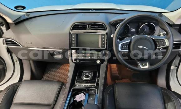 اشتري مستعمل Jaguar F-Pace White سيارة في Maseru في Maseru اشتري مستعمل Jaguar F-Pace White سيارة في Maseru في Maseru