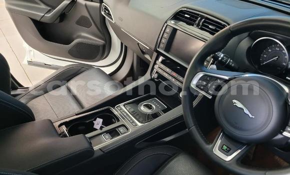 اشتري مستعمل Jaguar F-Pace White سيارة في Maseru في Maseru اشتري مستعمل Jaguar F-Pace White سيارة في Maseru في Maseru