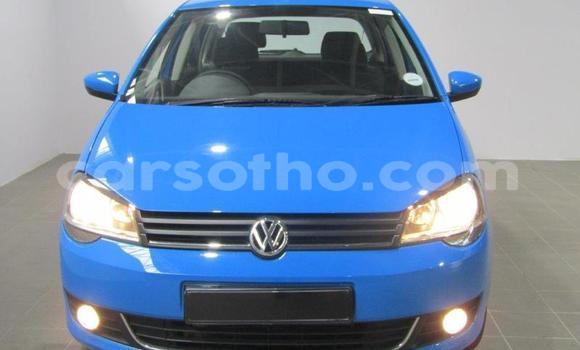 Acheter Occasion Voiture Volkswagen Polo Bleu à Maputsoe, Leribe Acheter Occasion Voiture Volkswagen Polo Bleu à Maputsoe, Leribe