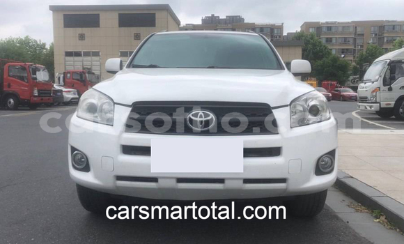 Buy Used Toyota RAV4 White Car in Peka in Leribe Buy Used Toyota RAV4 White Car in Peka in Leribe