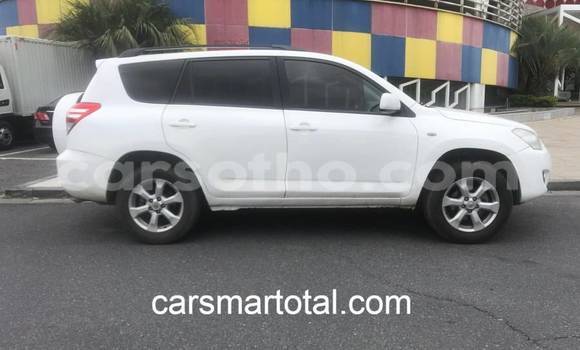 Buy Used Toyota RAV4 White Car in Peka in Leribe Buy Used Toyota RAV4 White Car in Peka in Leribe