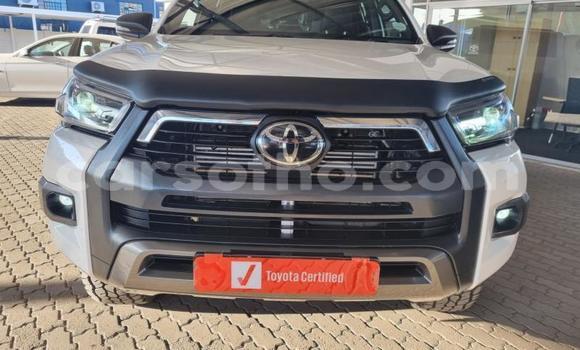 Buy Used Toyota Hilux White Car in Maseru in Maseru Buy Used Toyota Hilux White Car in Maseru in Maseru