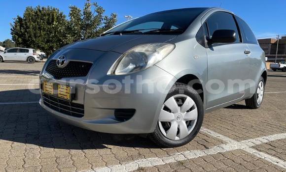 Buy Used Toyota Yaris Silver Car in Maseru in Maseru Buy Used Toyota Yaris Silver Car in Maseru in Maseru