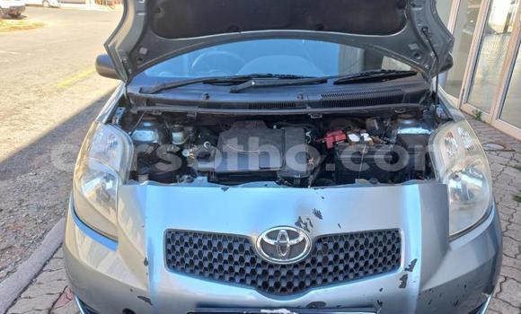 اشتري مستعمل Toyota Yaris Silver سيارة في Maseru في Maseru اشتري مستعمل Toyota Yaris Silver سيارة في Maseru في Maseru
