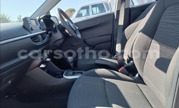 Sayi Na hannu Kia Picanto Blue Mota in Butha Buthe a Butha-Buthe Sayi Na hannu Kia Picanto Blue Mota in Butha Buthe a Butha-Buthe